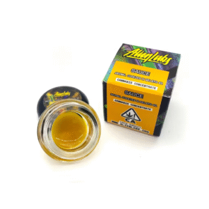 Animal Cookies x Gelato 41