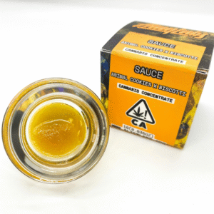 Animal Cookies X Biscotti