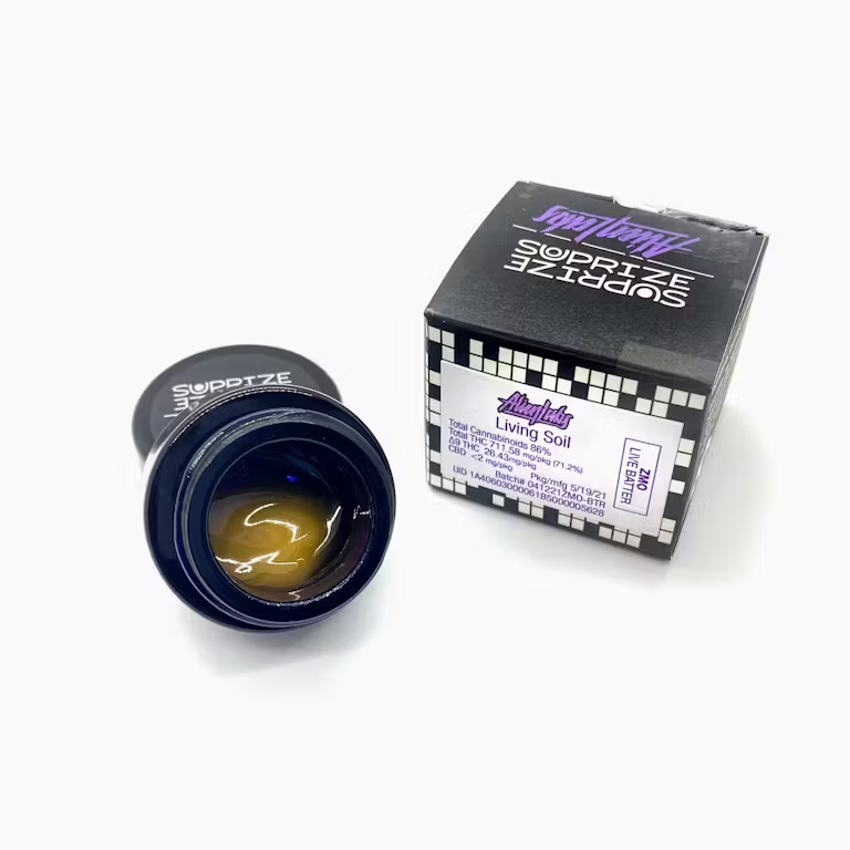 ZMO - Suprize Suprize - Badder